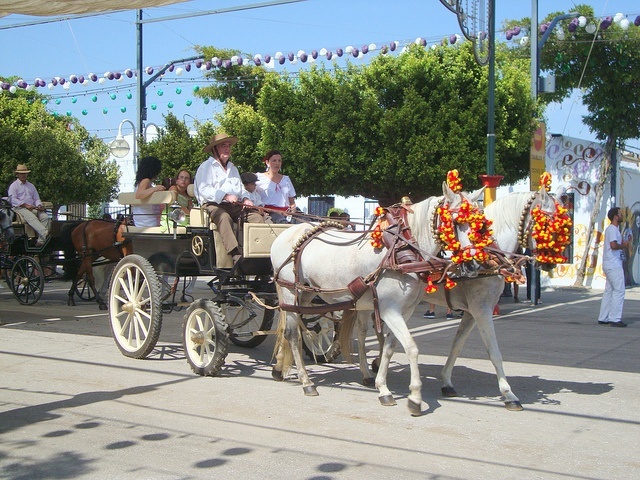 Carrozza trainata da cavalli alla fiera di Malaga