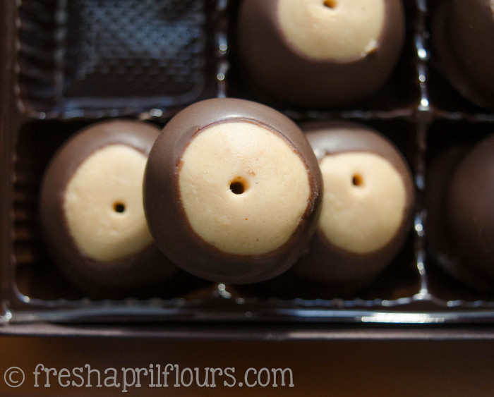 buckeyes-2