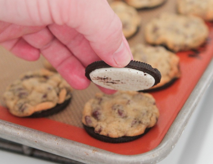 ricetta biscotto con gocce di cioccolato