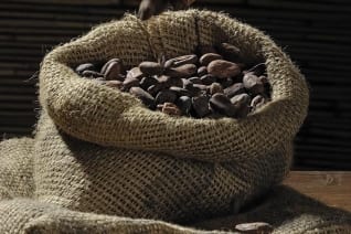 Todo sobre el chocolat