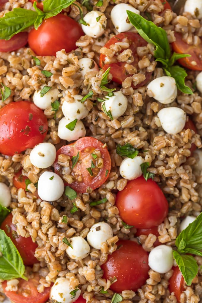 L'insalata Caprese Farro è un contorno sano che sicuramente piacerà a tutti i membri della famiglia. L'insalata Caprese con Farro è il nostro modo preferito di gustare i migliori sapori; pomodori, mozzarella, basilico e balsamico. Il farro è un grano così facile e buono da preparare che si adatta a quasi tutti i piatti principali. Questa ricetta fresca di insalata Caprese Farro è l'insalata o il cibo estivo perfetto!
