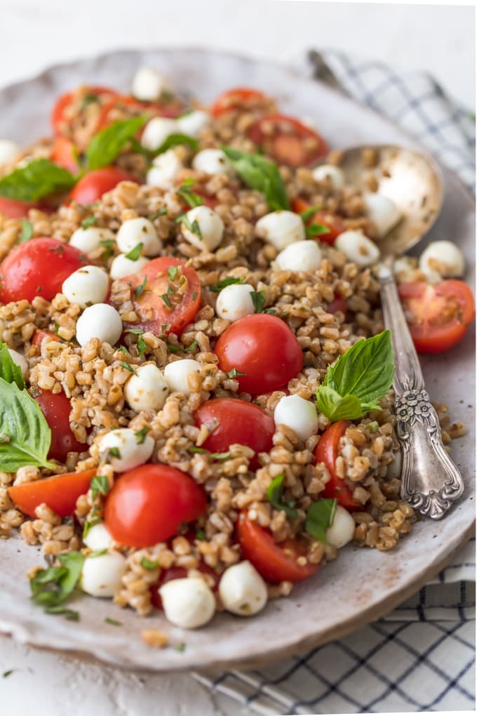 L'insalata Caprese Farro è un contorno sano che sicuramente piacerà a tutti i membri della famiglia. L'insalata Caprese con Farro è il nostro modo preferito di gustare i migliori sapori; pomodori, mozzarella, basilico e balsamico. Il farro è un grano così facile e buono da preparare che si adatta a quasi tutti i piatti principali. Questa ricetta fresca di insalata Caprese Farro è l'insalata o il cibo estivo perfetto!