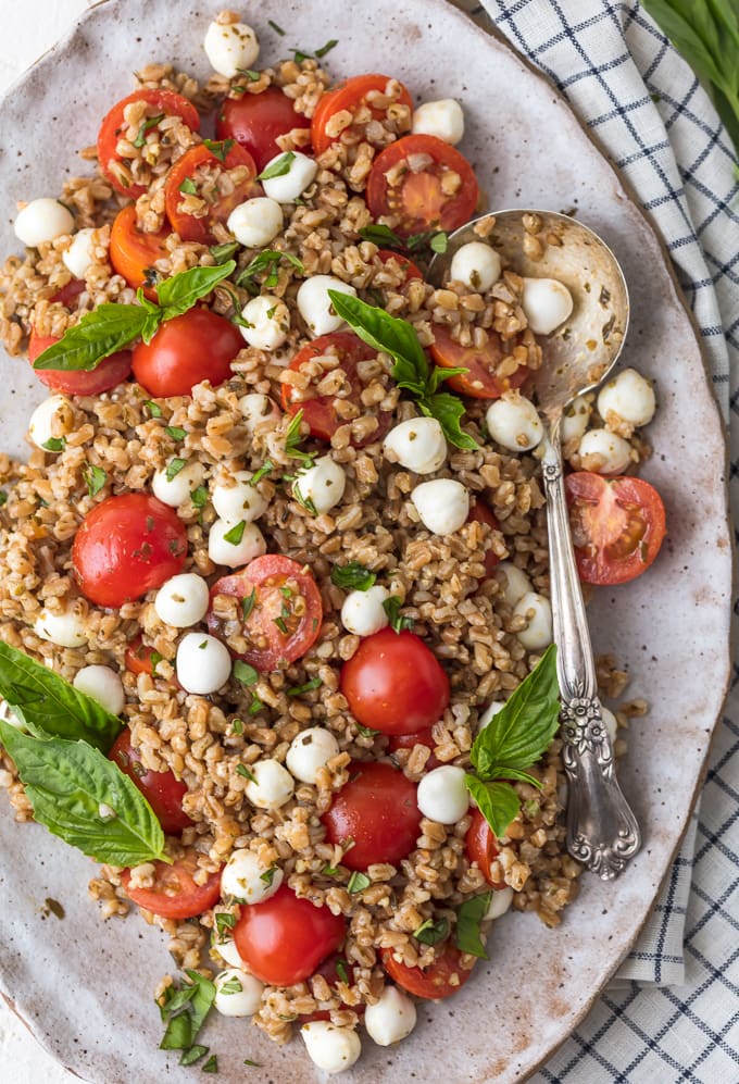 L'insalata Caprese Farro è un contorno sano che sicuramente piacerà a tutti i membri della famiglia. L'insalata Caprese con Farro è il nostro modo preferito di gustare i migliori sapori; pomodori, mozzarella, basilico e balsamico. Il farro è un grano così facile e buono da preparare che si adatta a quasi tutti i piatti principali. Questa ricetta fresca di insalata Caprese Farro è l'insalata o il cibo estivo perfetto!