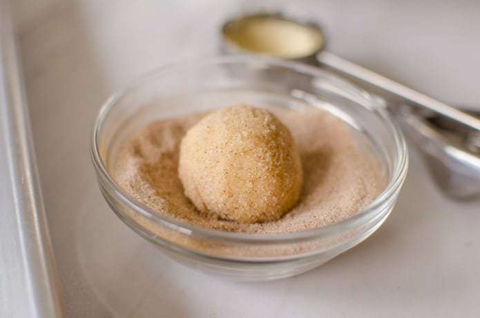 pasta biscotto snickerdoodle arrotolato in cannella e zucchero