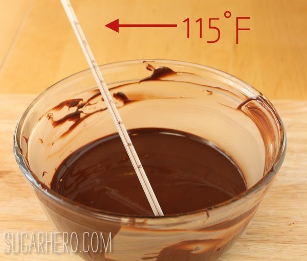 Come moderare il tutorial sul cioccolato «Wiquestione