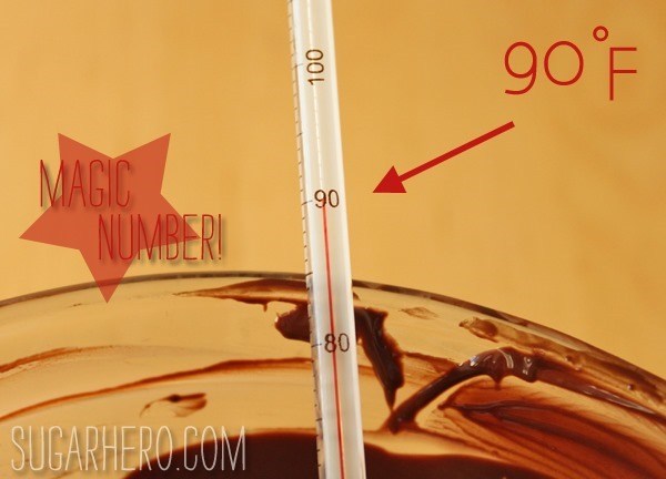 Come moderare il tutorial sul cioccolato «Wiquestione