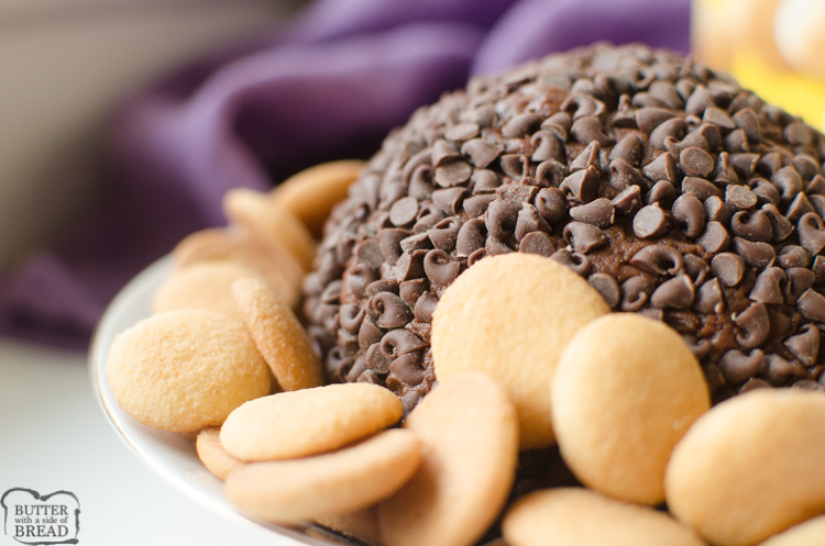 Double Chocolate Chip Cheese Ball è proprio questo ... due volte il cioccolato si è trasformato in una pallina di formaggio dolce due volte! Il ricco impasto al cioccolato combinato con la crema di formaggio piccante e poi arrotolato in mini gocce di cioccolato lo rende uno spuntino o un dessert delizioso e delizioso!