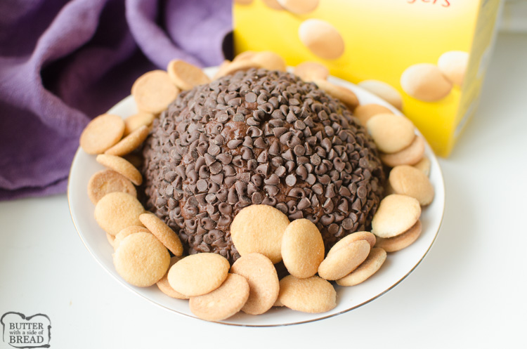Double Chocolate Chip Cheese Ball è proprio questo ... due volte il cioccolato si è trasformato in una pallina di formaggio dolce due volte! Il ricco impasto al cioccolato combinato con la crema di formaggio piccante e poi arrotolato in mini gocce di cioccolato lo rende un antipasto o un dessert ricco e delizioso!