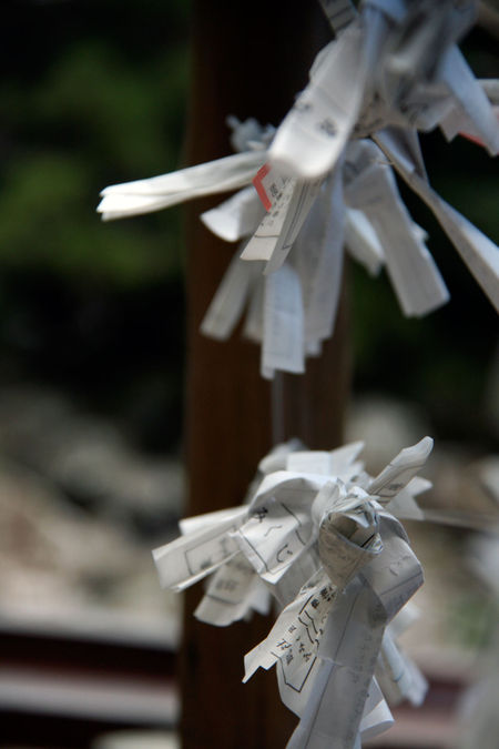 Paperwishes