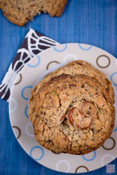 biscotti al compost