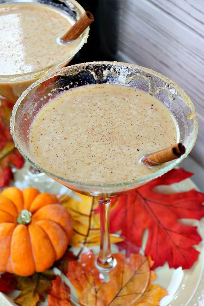 Close-up e colpo di testa di due martini con bastoncini di cannella, foglie di autunno e mini zucche.