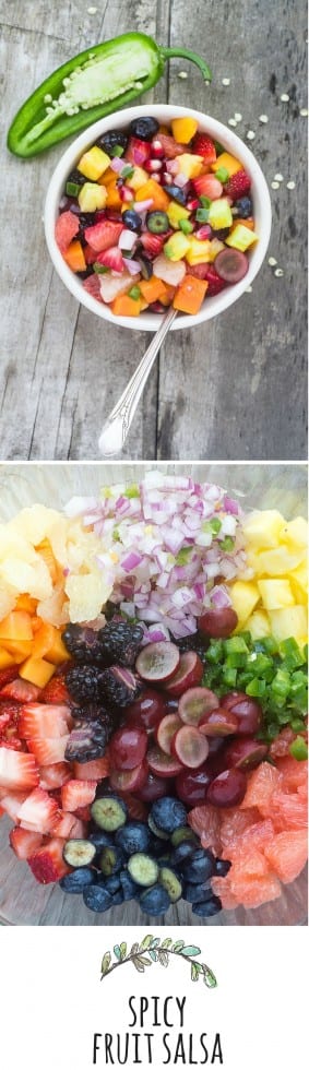 Il sugo di frutta piccante è dolce / speziato, pieno di sapore e molto salutare. Il | theviewfromgreatisland.com