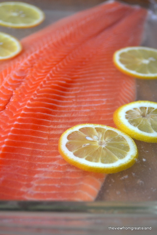 Salmone in camicia con scaglie di cetriolo | La vista da Great Island 2