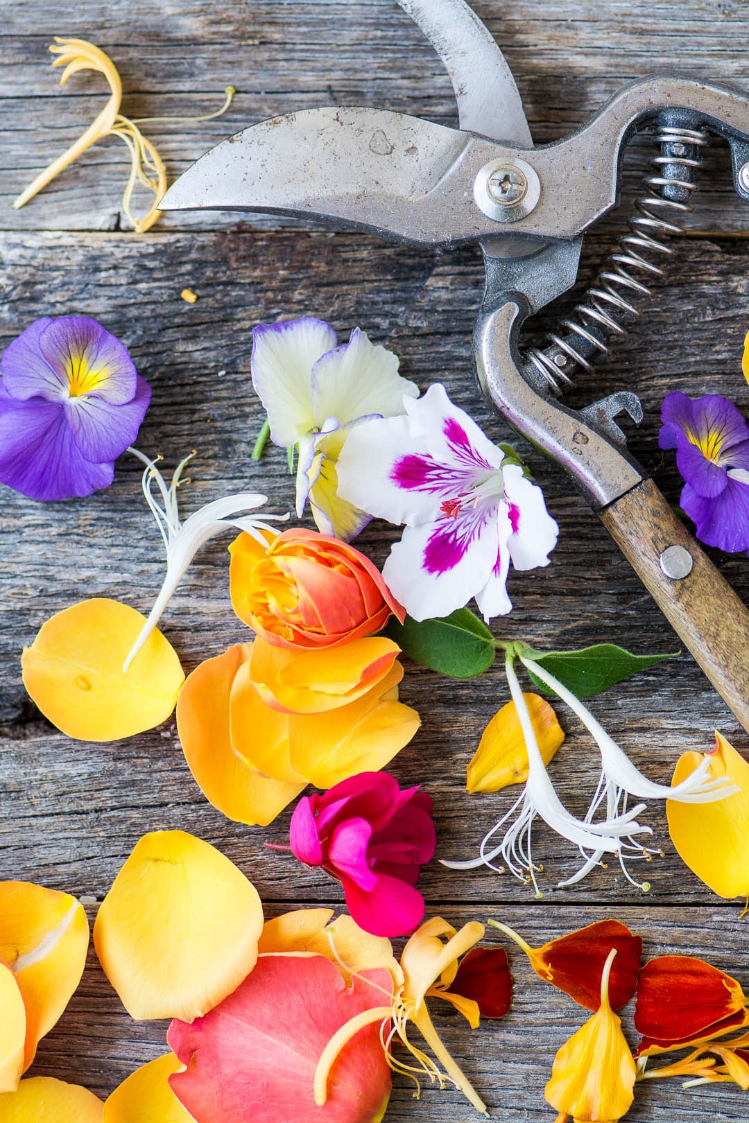Fiori commestibili per insalata di primavera con fiori commestibili ~ puoi trovare fiori commestibili nel tuo giardino!
