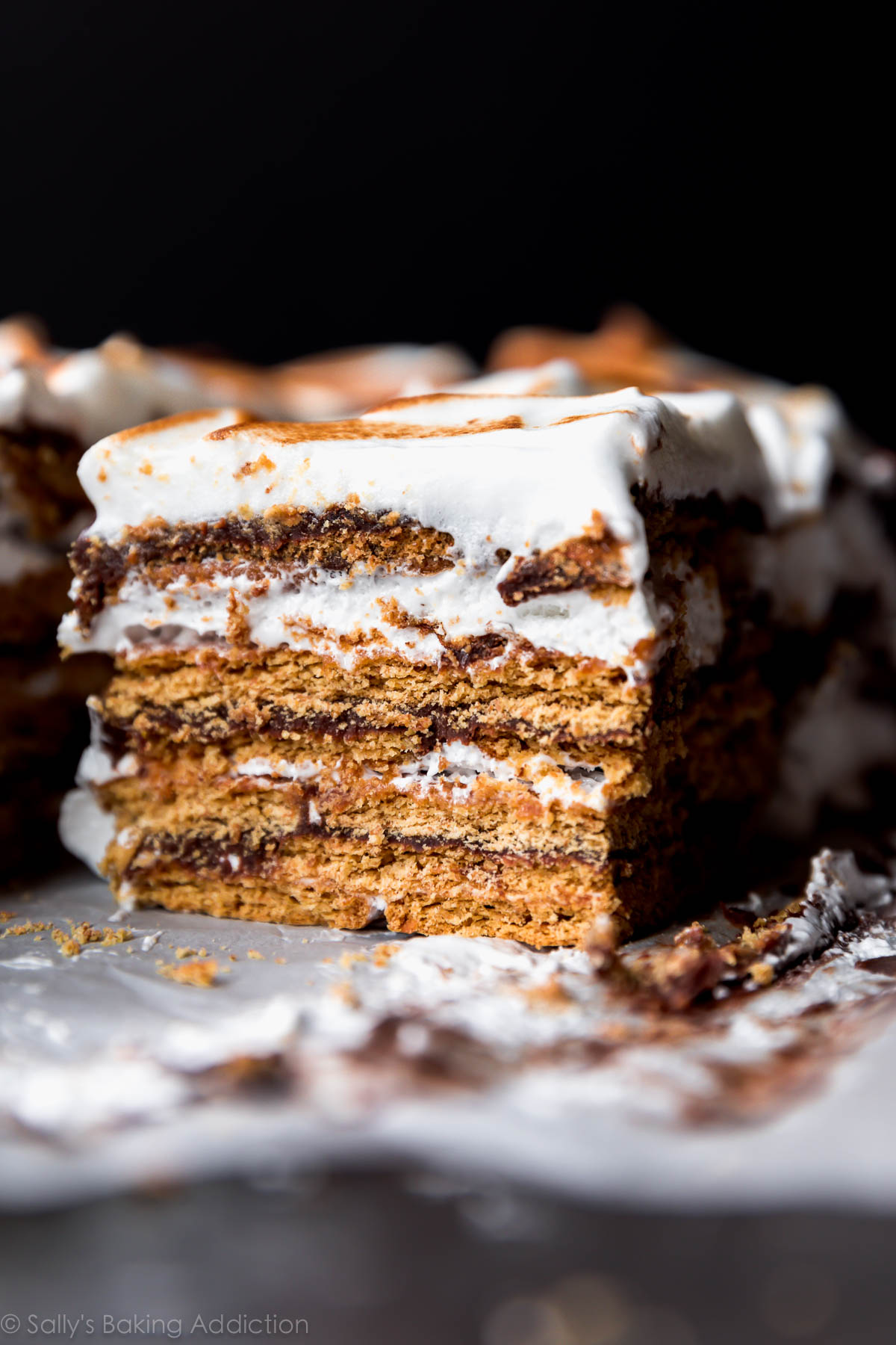 Torta S'Mores non cotta