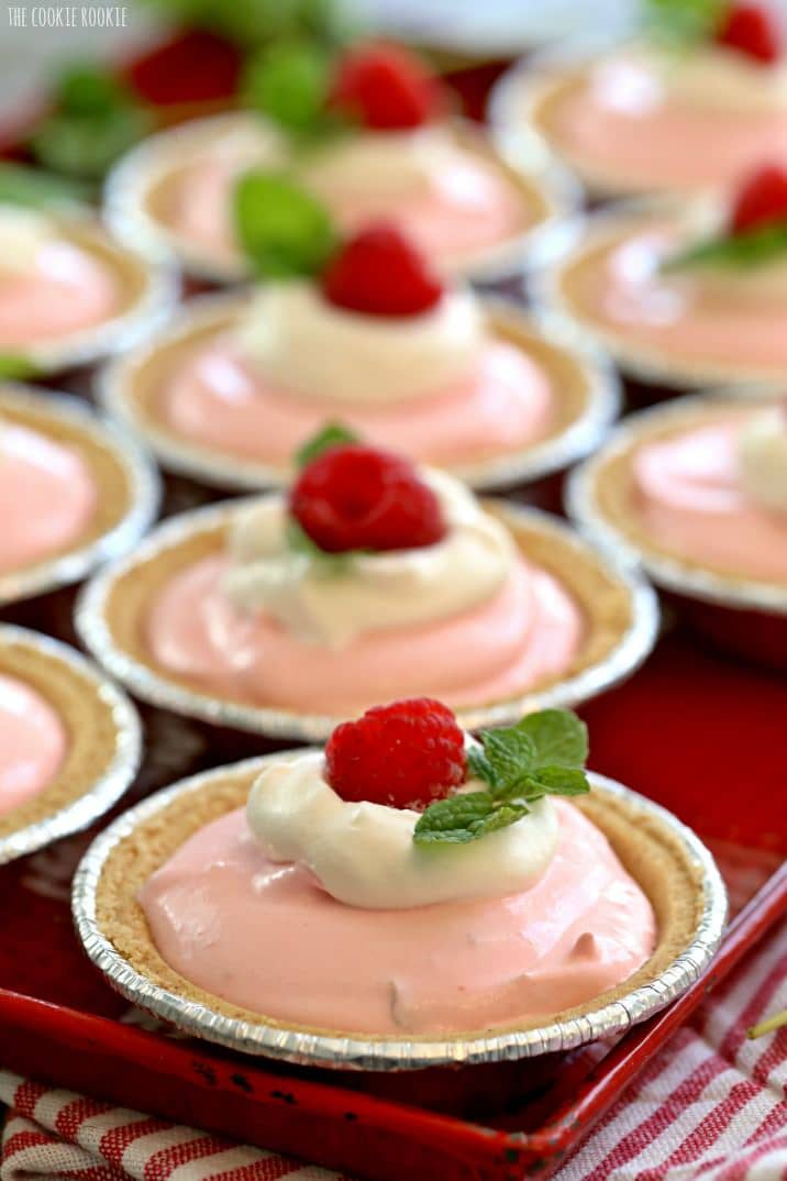 Torte di yogurt al lampone, un dolce dolce e salutare per San Valentino o la ricetta perfetta per la doccia del bambino! Il | Cookie novizio