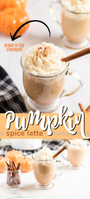 immagine del perno del latte della spezia della zucca
