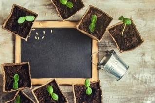 5 maneras de preparar tu huerto para la primavera