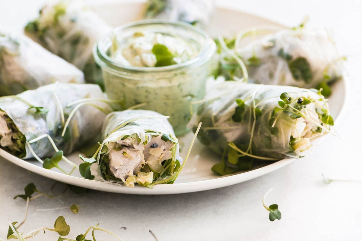ensalada de pollo rollitos de verano en un plato con salsa de mayonesa con hierbas