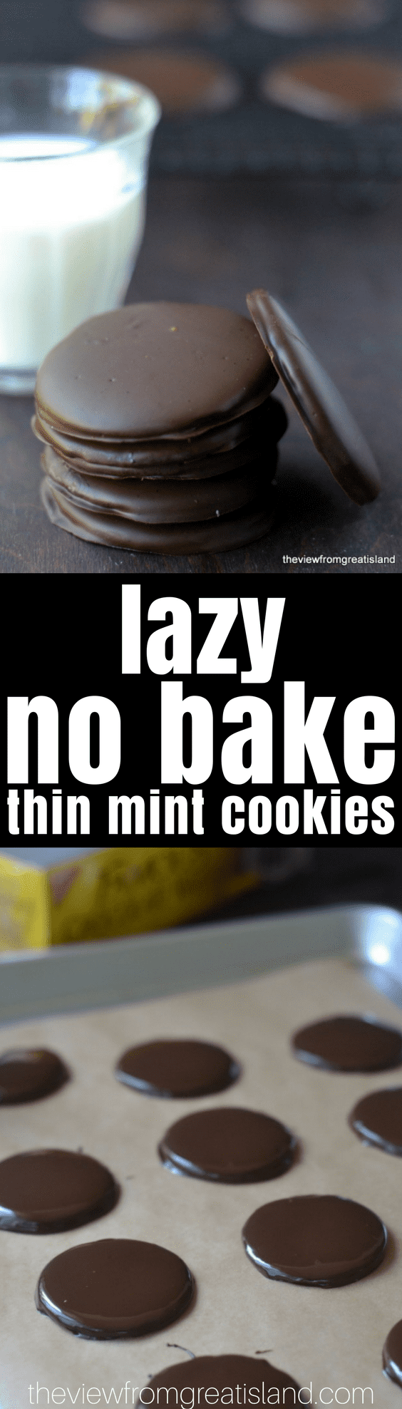 Lazy No Bake Thin Mint Cookies ~ Il sogno dei biscotti di uno chef pigro! Questi biscotti super facili da cuocere hanno un sapore altrettanto buono degli originali e puoi fare una dozzina più veloce di quanto puoi dire Girl Scout Cookie! #nobake #cookies #Girlscoutcookies #easycookies #easythinmints #bestthinmints #chocolate #mintcookies #nobakecookies #dessert #recipe