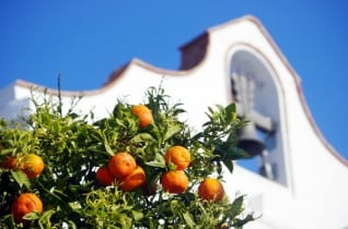 No en lo turístico? Cómo vivir como un local en Málaga