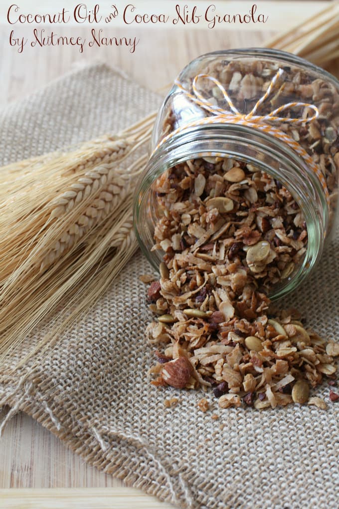 Este aceite de coco y granola de semilla de cacao es muy f&aacute;cil de hacer y sabe un excelente yogurt de sobre cubierta o se come directamente del frasco. Adem&aacute;s, es una mezcla perfecta de salado y dulce. &iexcl;Comer&aacute;s esto todo el a&ntilde;o!