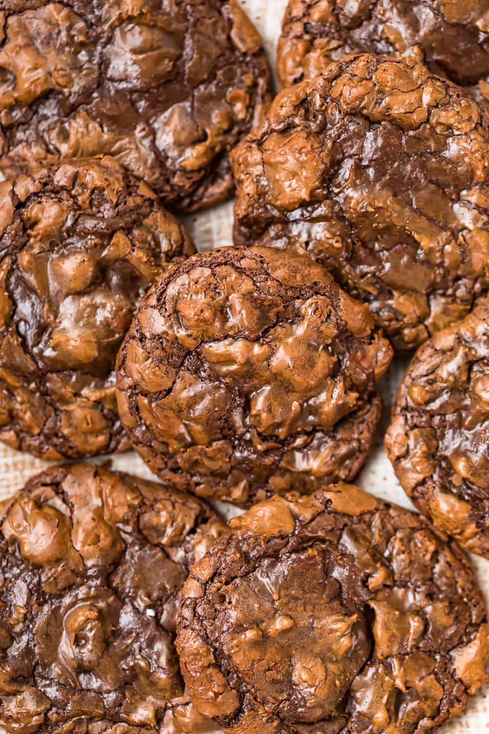The Cookie Rookie