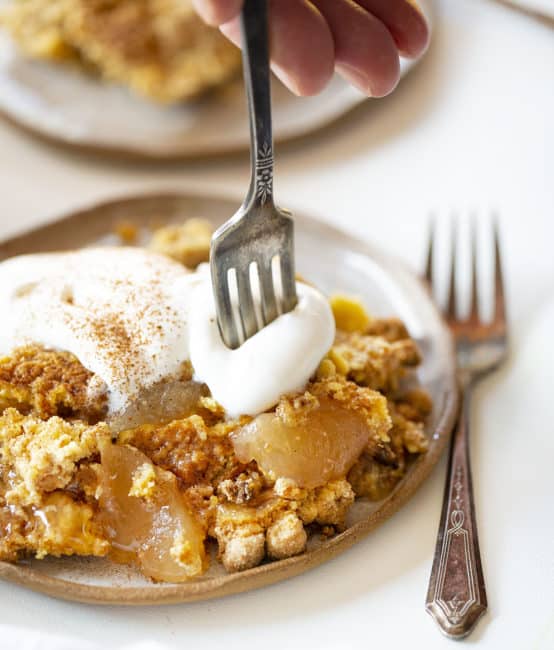 Pastel de manzana Dump