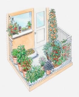 Tre sorelle giardinaggio