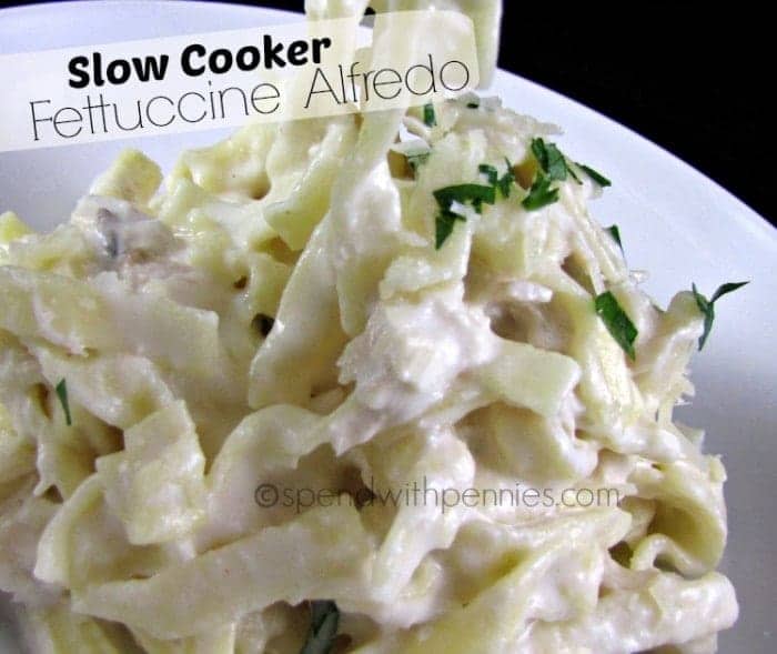 close up of fettuccine alfredo