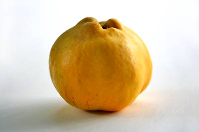 Mela cotogna