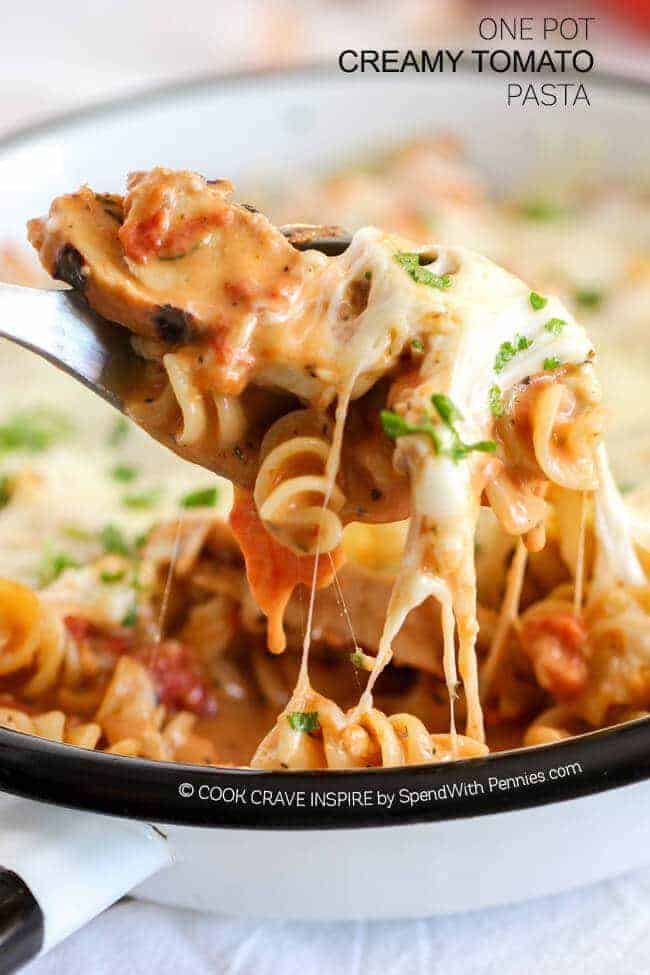 One Pot Creamy Tomato Chicken pasta gooey cheese