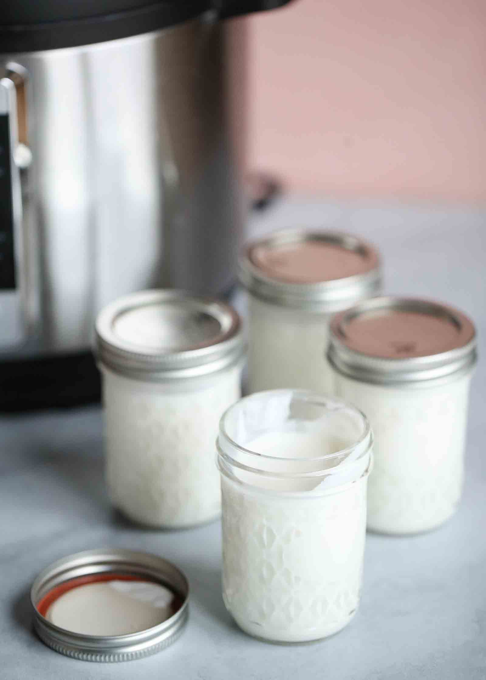 Homemade Yogurt in the Instant Pot