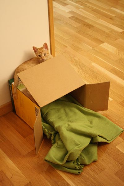 Lima Box