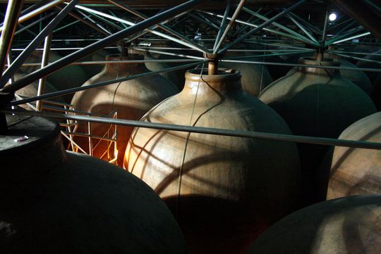 Cortijo Angulo Jaen Bodega 2