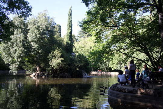 Duck Pond Madrid parque