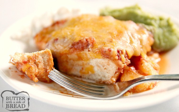O Easy Salsa Chicken é feito com quatro ingredientes para uma refeição rica em proteínas e pouco carboidrato, com muito sabor! Esta receita de molho de frango é fácil e deliciosa!