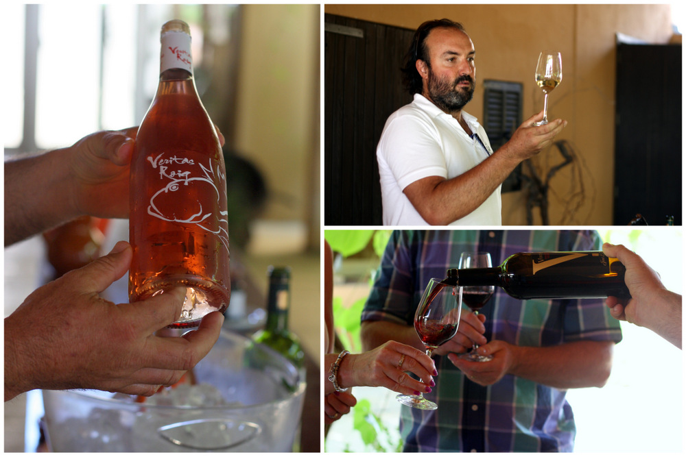 Tour do vinho de Maiorca
