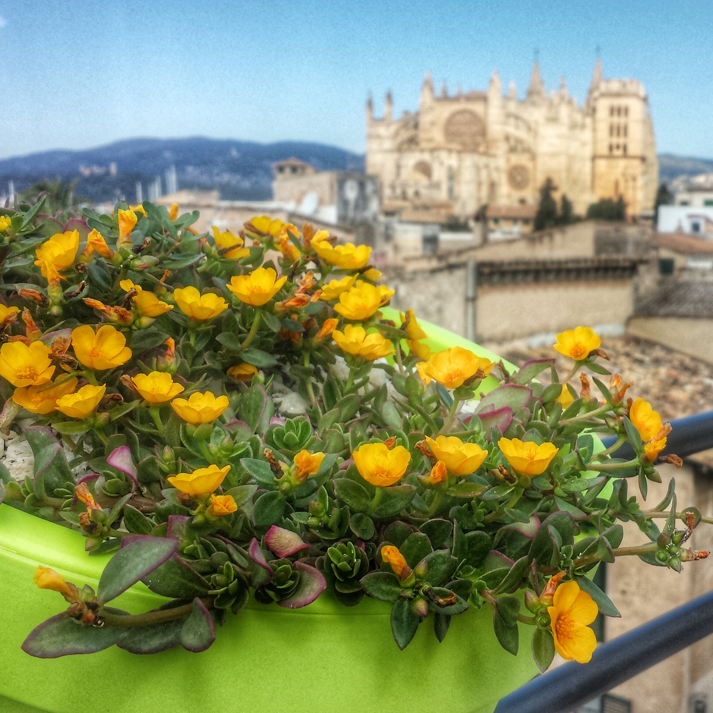 Hotel Santa Clara em Palma de Maiorca