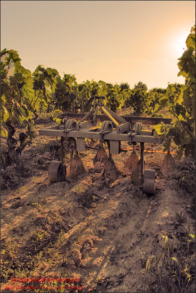 Os costumes antigos ainda reinam na região vinícola espanhola de Priorat, onde estão sendo produzidas algumas das melhores garnachas do mundo.