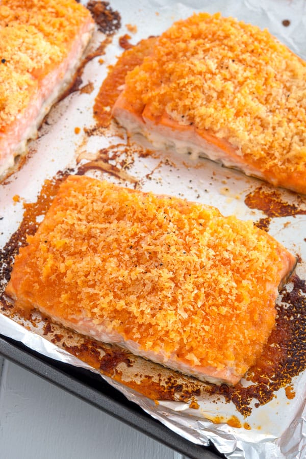 Buffalo Salmon em uma assadeira fresca do forno