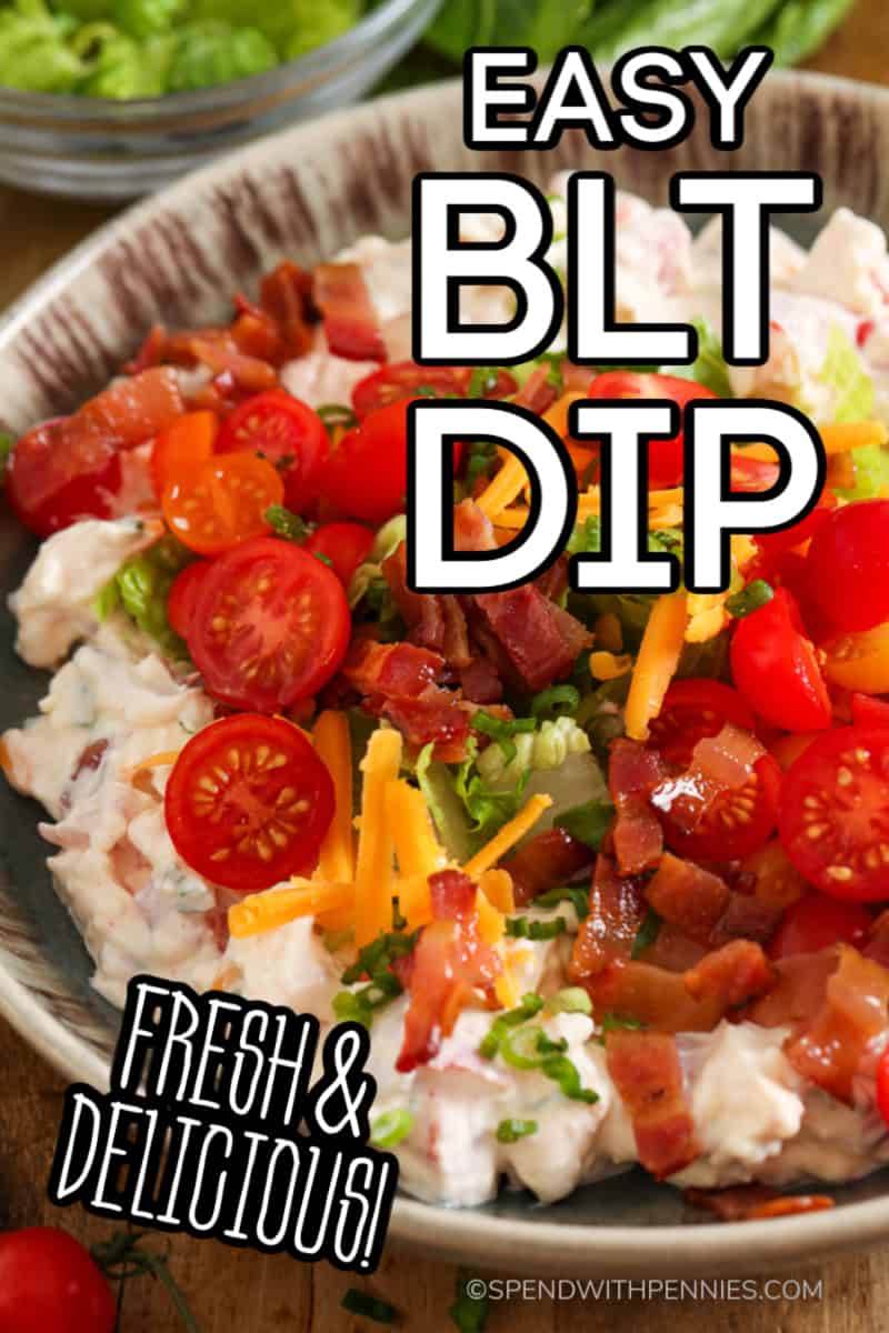 Esta receita fácil de molho BLT é feita com ingredientes cremosos, como creme de leite, queijo creme e maionese! É melhor servido frio com uma variedade de pratos, como legumes, bolachas ou mesmo palitos de pão. ⠀⠀⠀⠀⠀⠀⠀⠀⠀⠀⠀⠀⠀⠀⠀⠀⠀⠀⠀⠀⠀⠀⠀⠀⠀⠀⠀⠀⠀⠀⠀⠀⠀⠀⠀⠀⠀⠀⠀ Uma tigela cheia de molho BLT. Coberto com bacon, alface, tomate e queijo ralado.