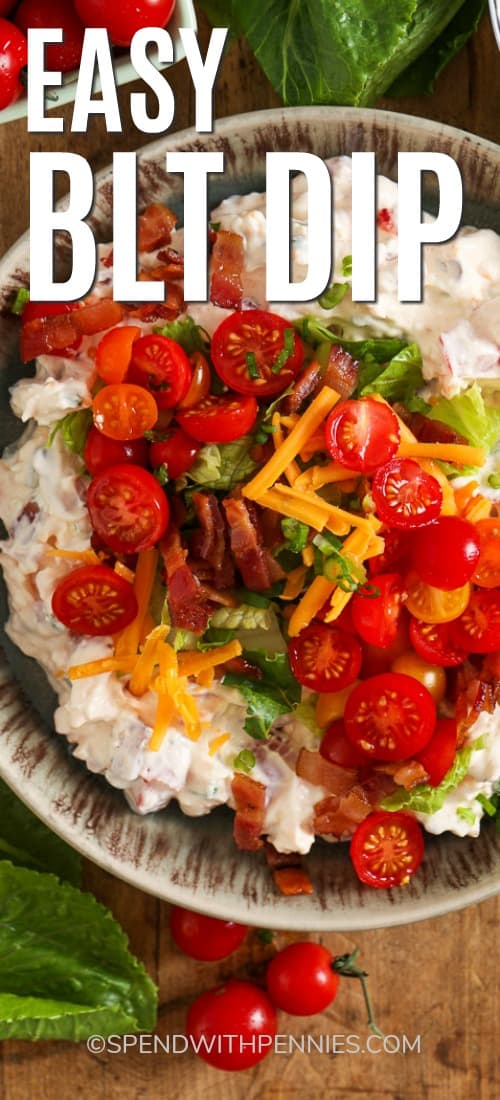 Esta receita fácil de molho BLT é feita com ingredientes cremosos, como creme de leite, queijo creme e maionese! É melhor servido frio com uma variedade de pratos, como legumes, bolachas ou mesmo palitos de pão. ⠀⠀⠀⠀⠀⠀⠀⠀⠀⠀⠀⠀⠀⠀⠀⠀⠀⠀⠀⠀⠀⠀⠀⠀⠀⠀⠀⠀⠀⠀⠀⠀⠀⠀⠀⠀⠀⠀⠀ Uma tigela cheia de molho BLT. Coberto com bacon, alface, tomate e queijo ralado.