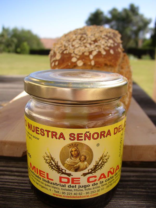 Este é o mel de cana, apenas um dos muitos alimentos de Málaga que irão surpreendê-lo!