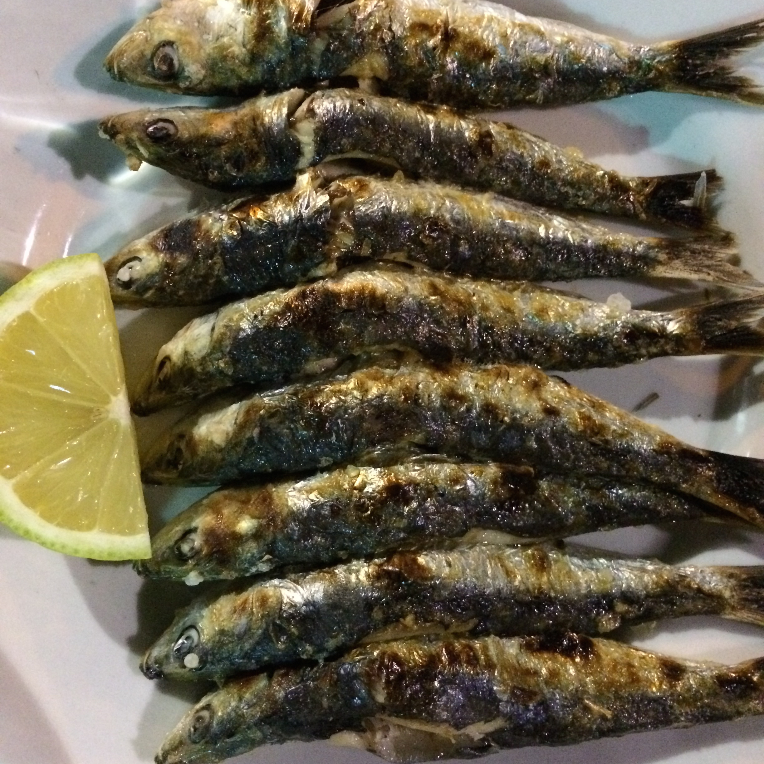Comer espetos em málaga