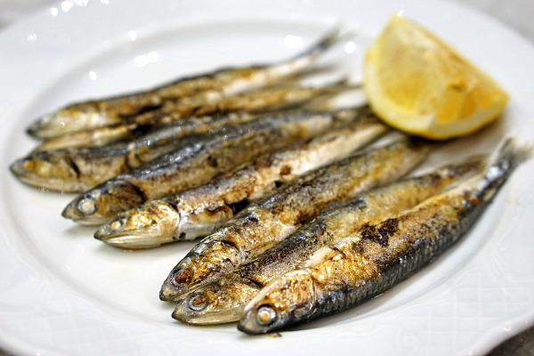 Comer tapas deliciosas é definitivamente uma maneira de comer como um morador local em Málaga!