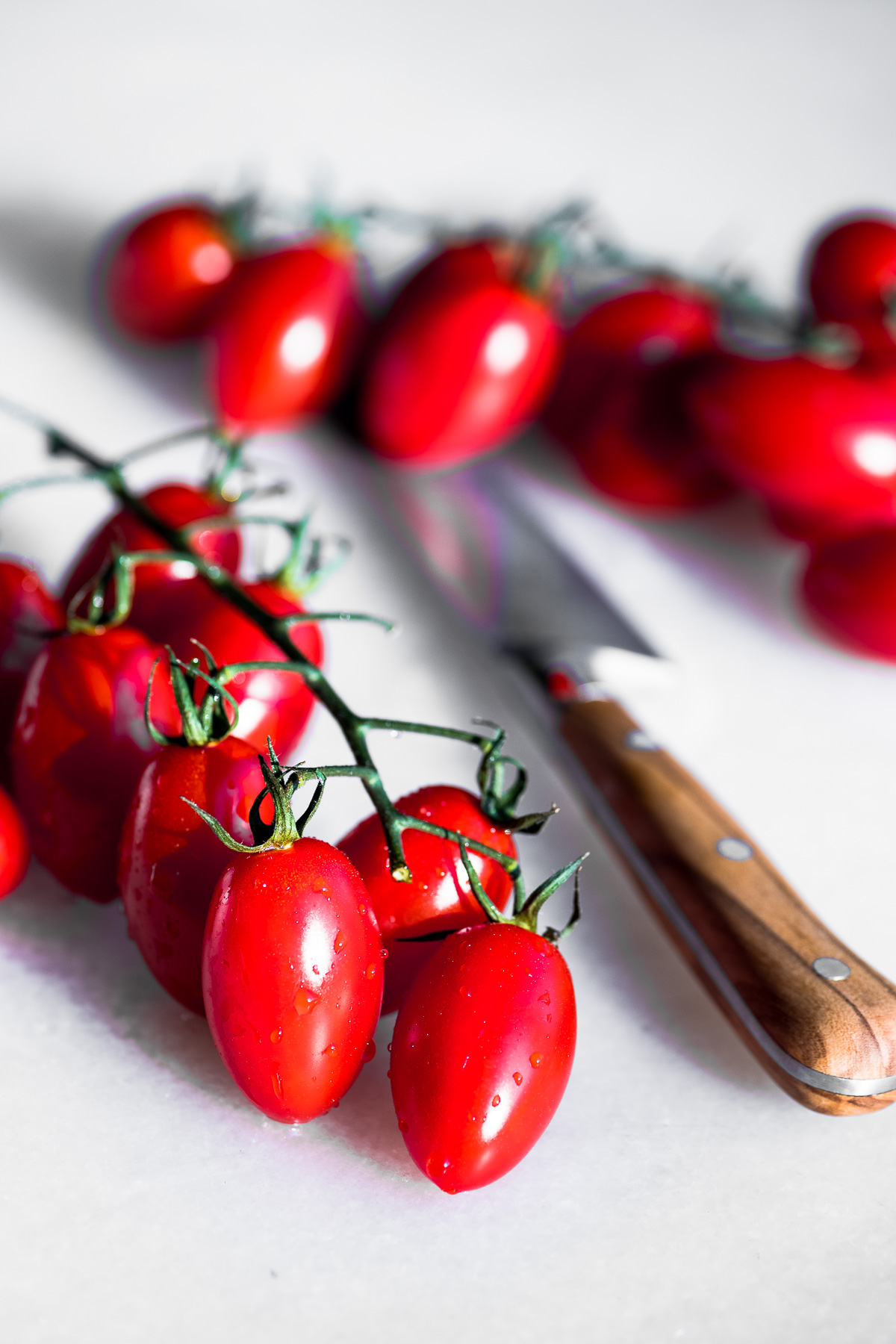 tomates frescos na videira