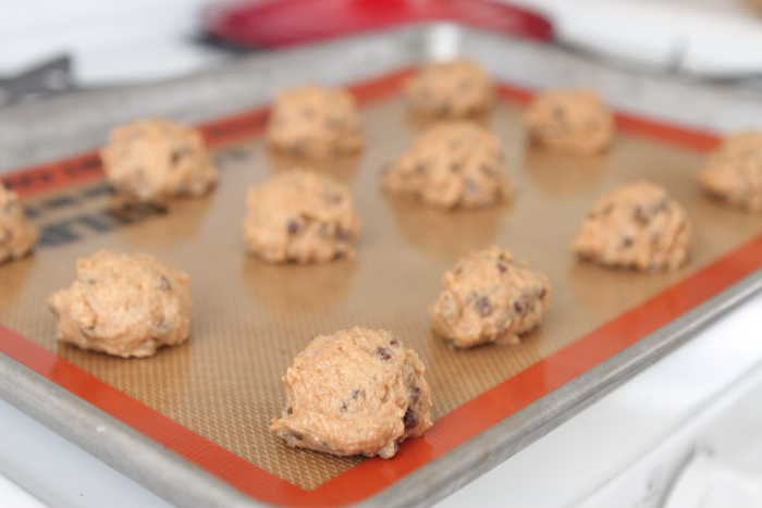 Biscoito de Chocolate com Trigo Integral com Manteiga de Amendoim e Mel-13