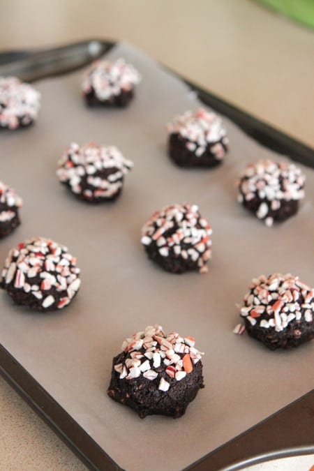 Receita de biscoito de chocolate