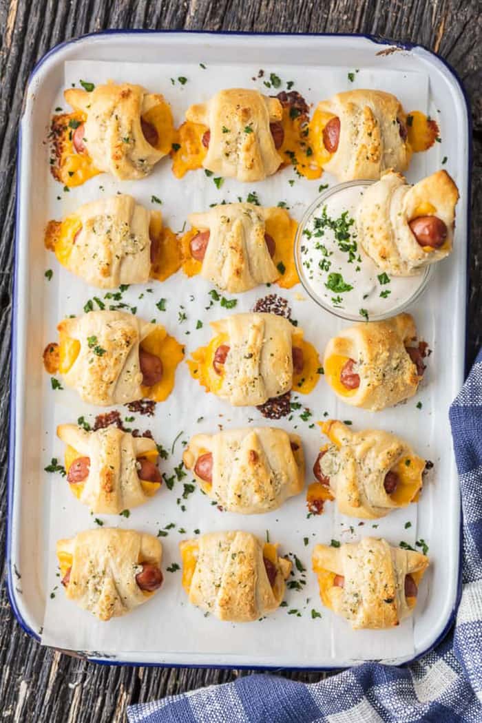 Porcos de queijo em um cobertor | Cookie Novice